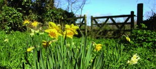 Easter breaks on Isles of Scilly