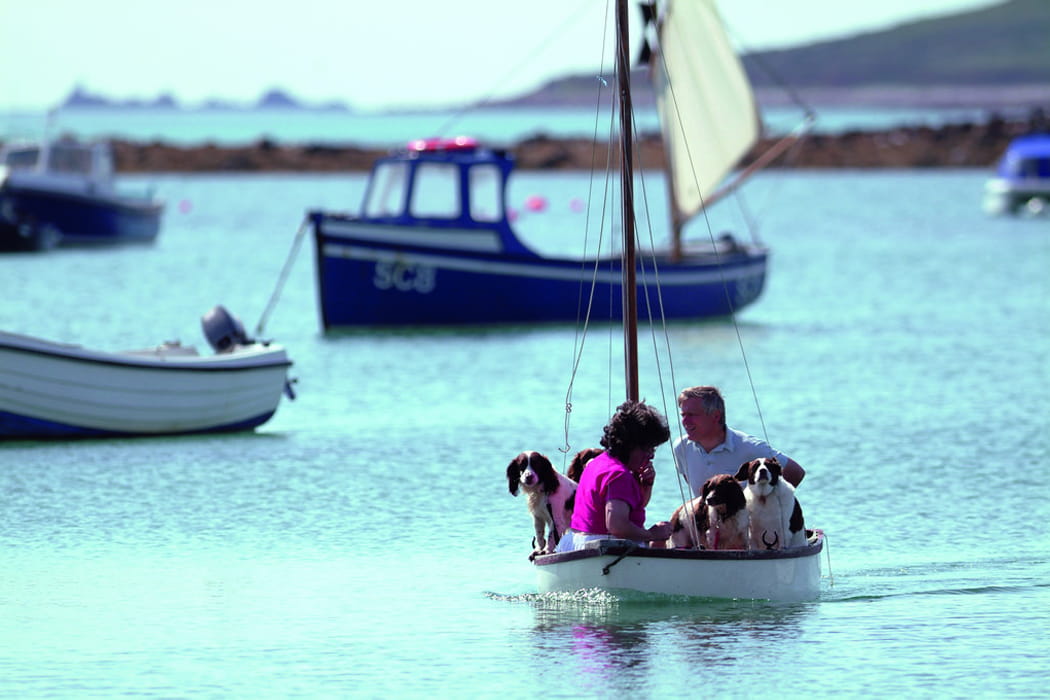 couple with their 3 dogs on a sailing boat, Isles of Scilly