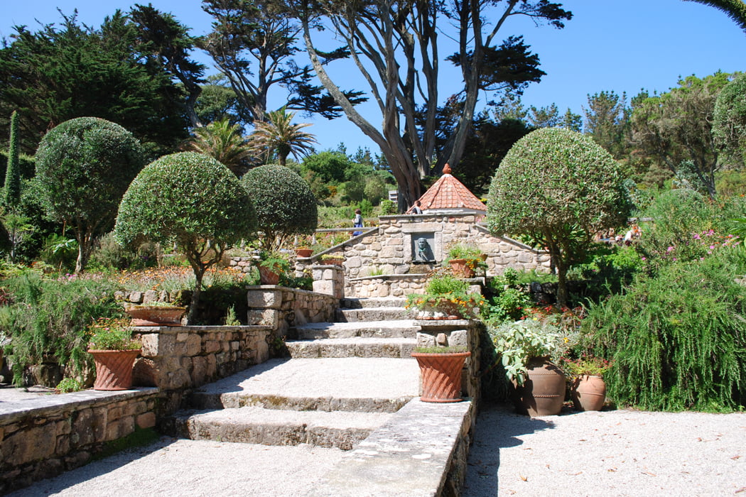 Tresco Abbey Garden- 2016