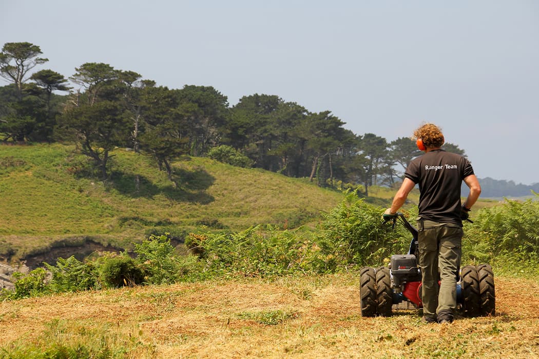 Heathland Restoration & Management © BareFoot Photographer & IOS Wildlife Trust