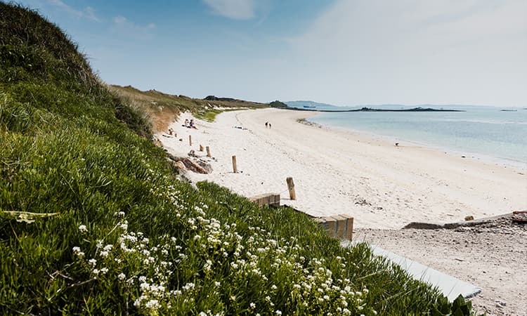 View of Pentle Bay, Tresco in spring, Isles of Scilly