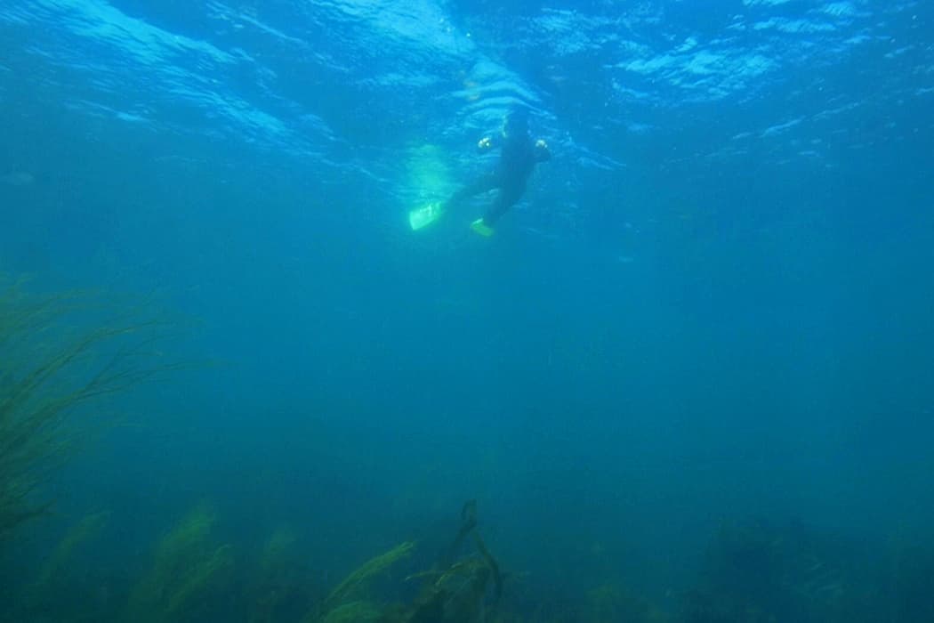 Natalie Rancce - Snorkelling
