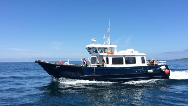 Wildlife Safari with St Agnes Boating and Isles of Scilly Wildlife Trust