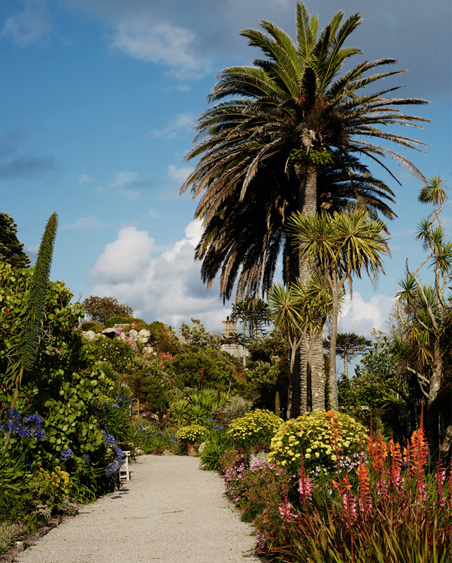 Tresco Abbey Gardens - Isles of Scilly