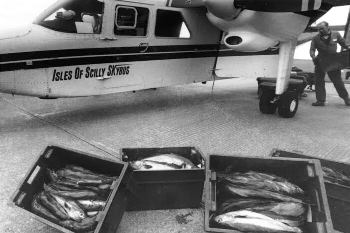 Skybus Islander aircraft loading fish crates to transport.