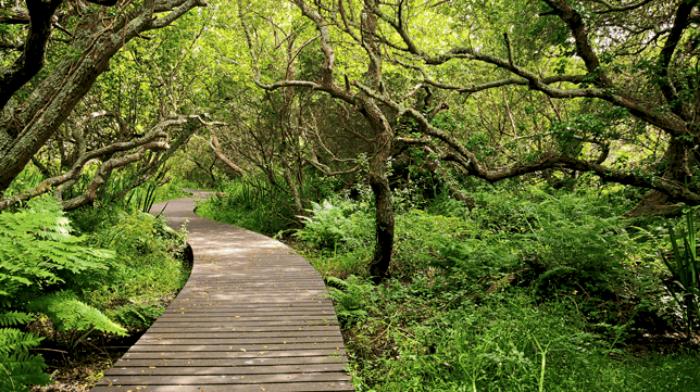 Nature Trail on the Isles of Scilly