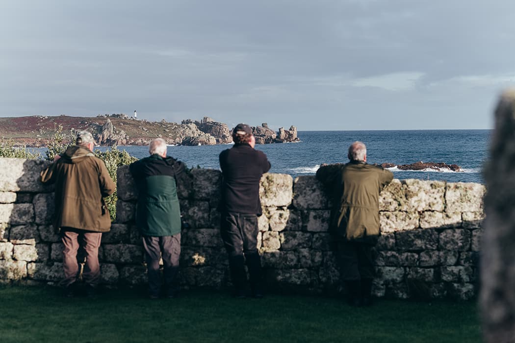 4 people bird watching on the Garrison, St Mary's, Isles of Scilly