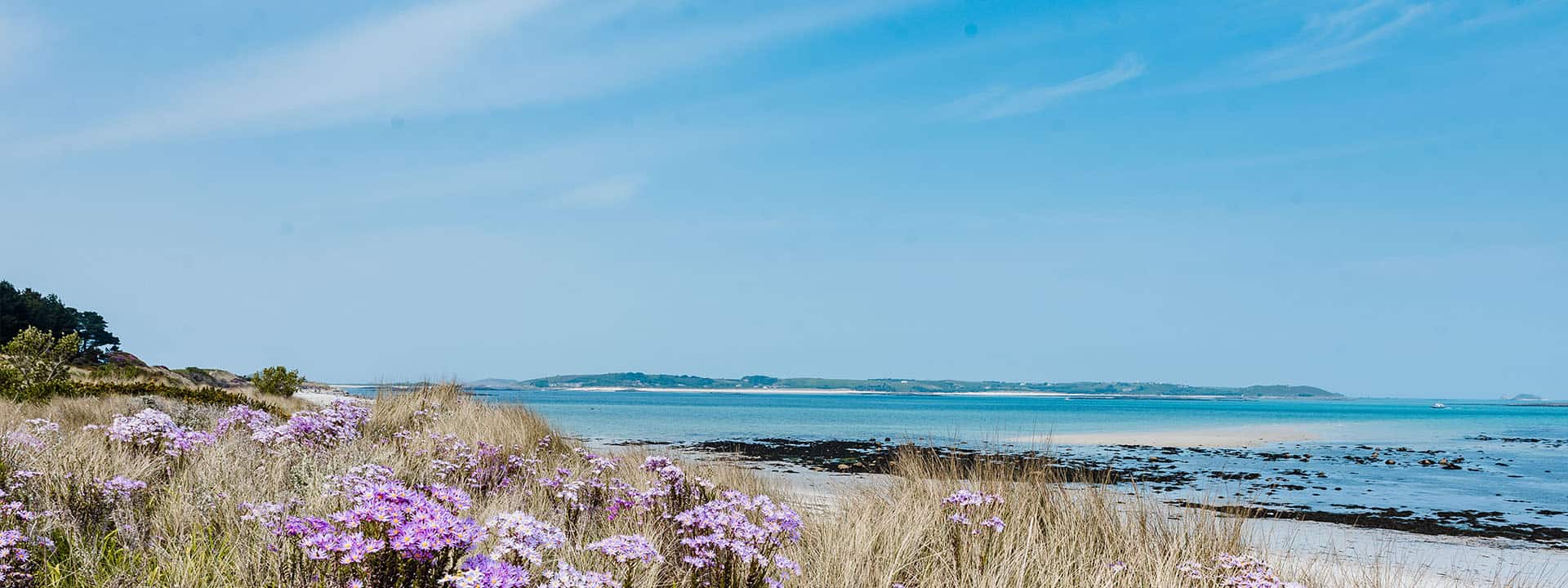 Spring on Isles of Scilly - Island View