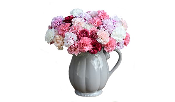 A bouquet of pink flowers in a jug from Scilly Flowers