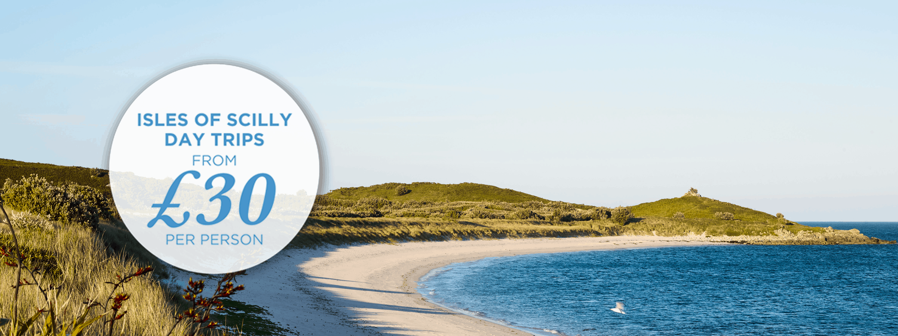 Isles of Scilly Travel - Spring on the Islands