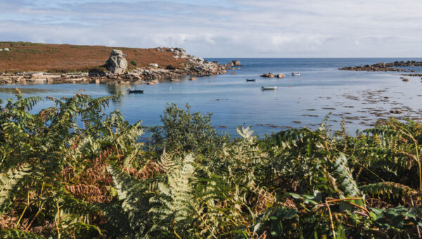 St Marys in autumn - September sea view