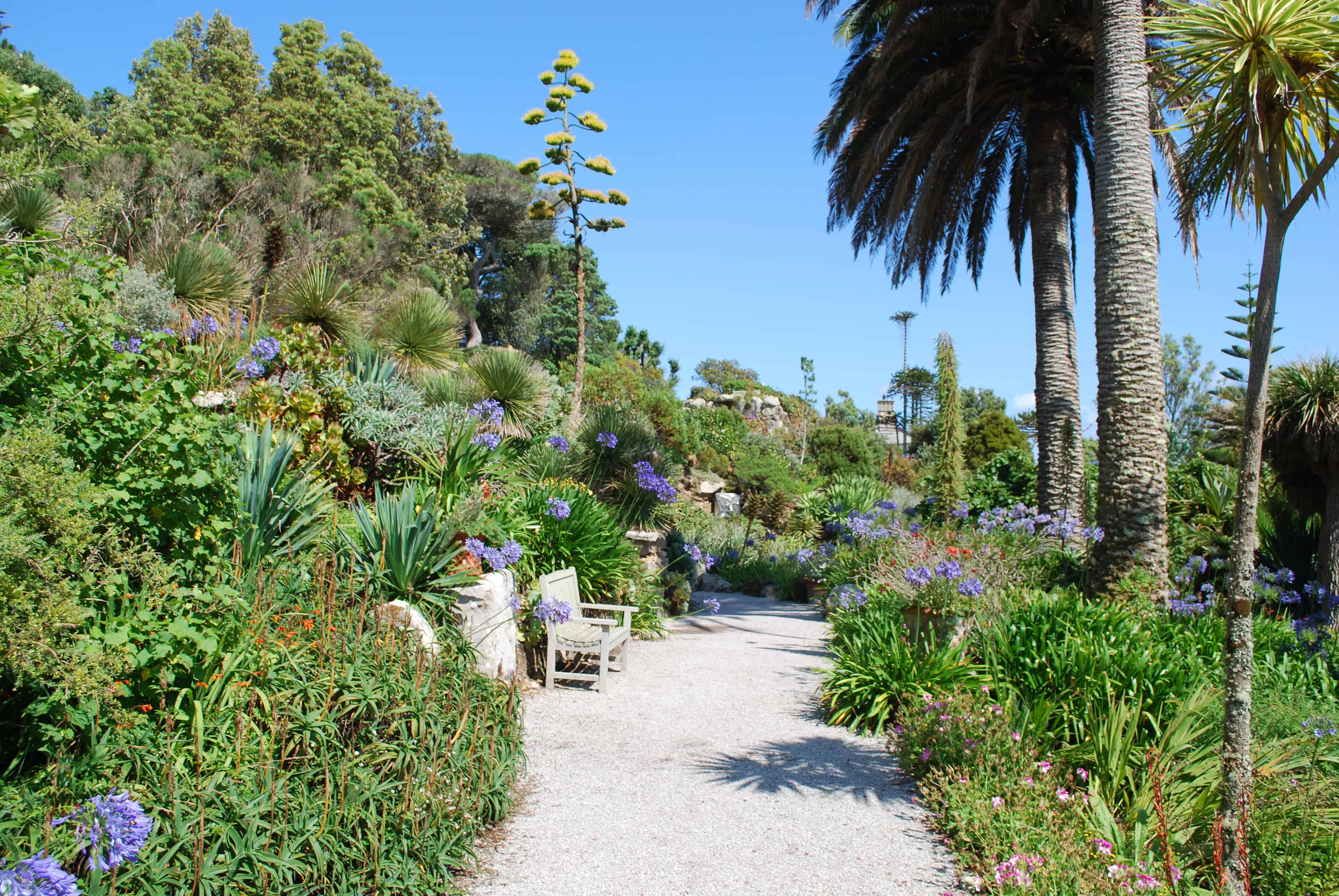 Tresco Abbey Garden - Isles of Scilly