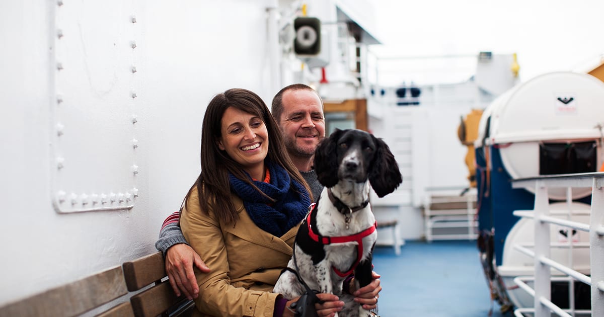 Dogs on the Isles of Scilly - dog travelling on scillonian passenger ferry