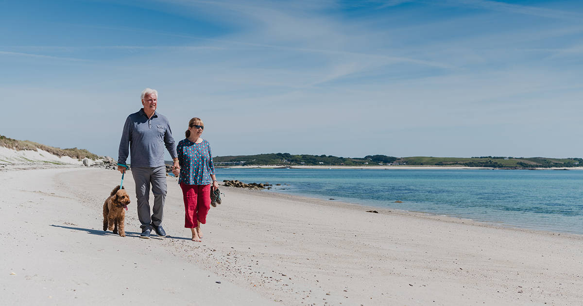 Dogs on the Isles of Scilly - dog walking on scilly beaches