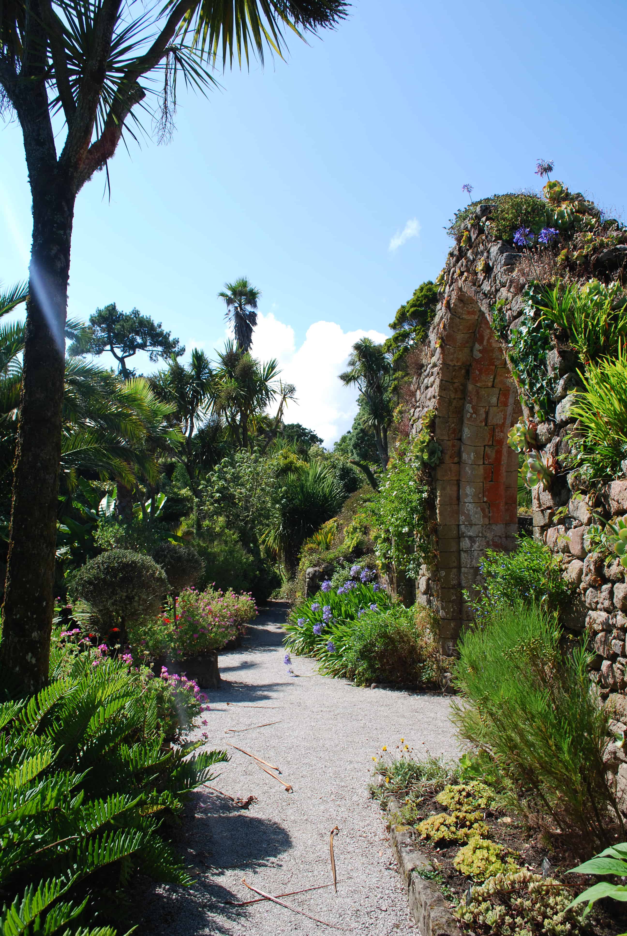 Tresco Abbey Garden - Isles of Scilly