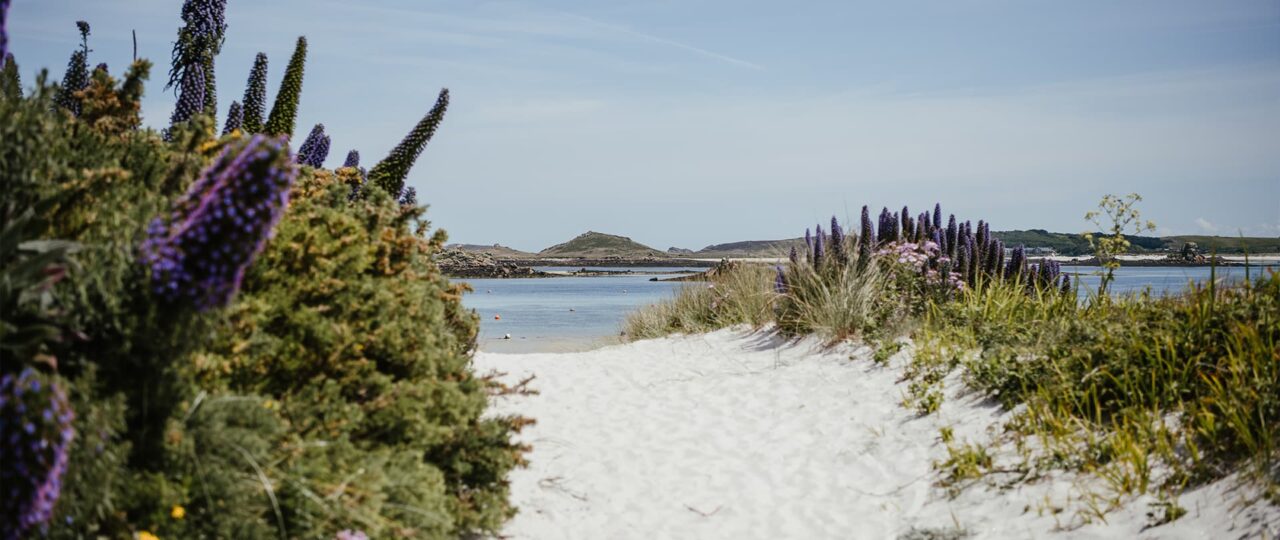 view of Old Grimsby Harbour, Tresco in the spring - Isles of Scilly