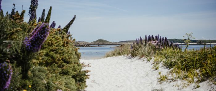 view of Old Grimsby Harbour, Tresco in the spring - Isles of Scilly