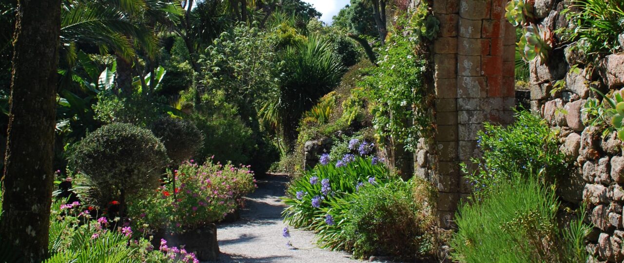 Tresco Abbey Garden, Tresco, Isles of Scilly