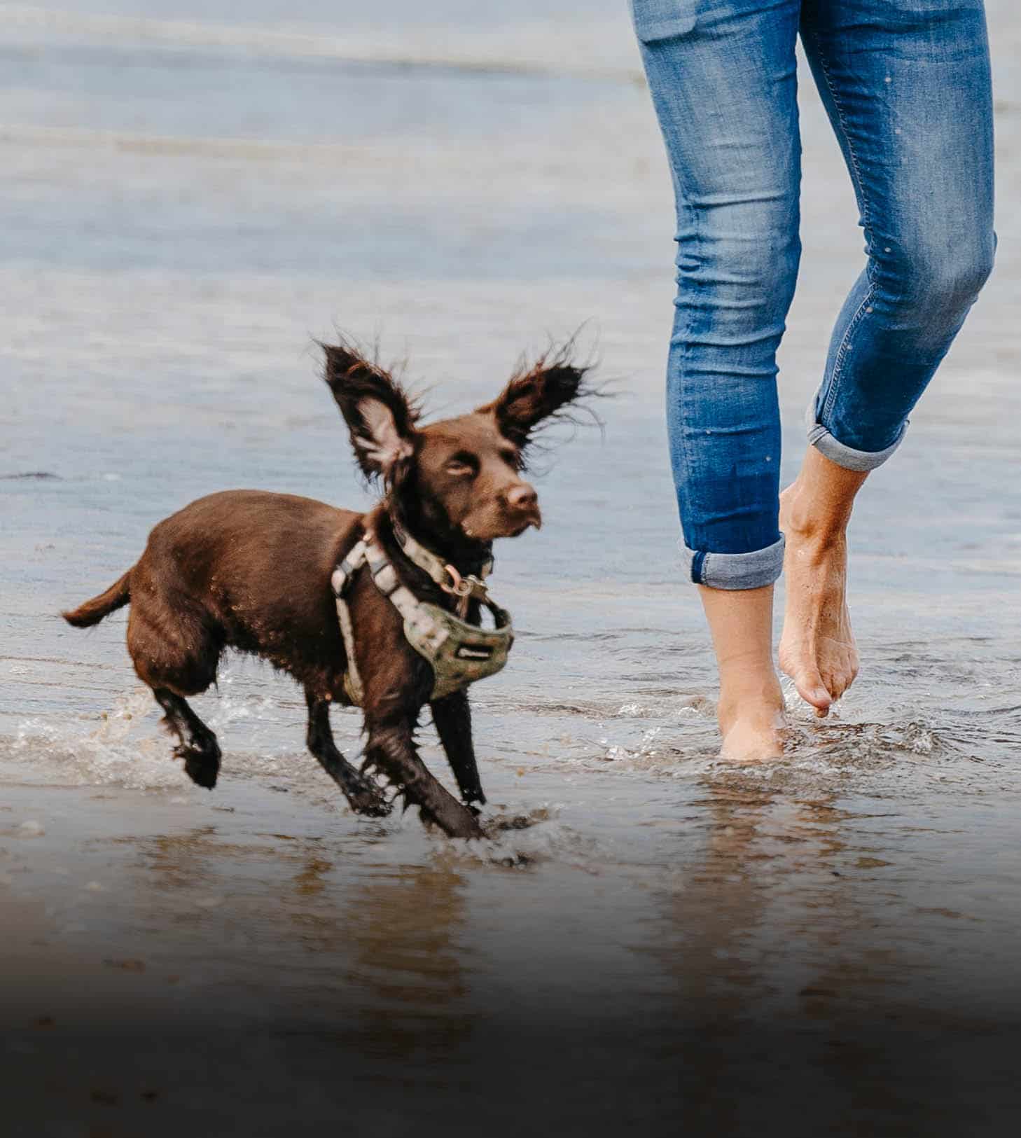 Fly and Sail to the Isles of Scilly Isles of Scilly Travel