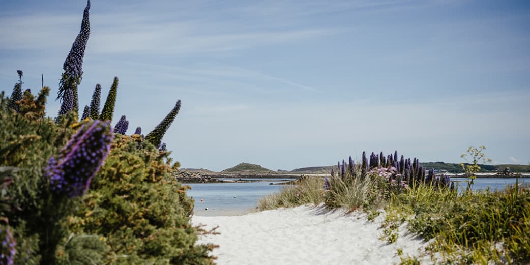 Isles of Scilly FAQs Answered Isles of Scilly Travel