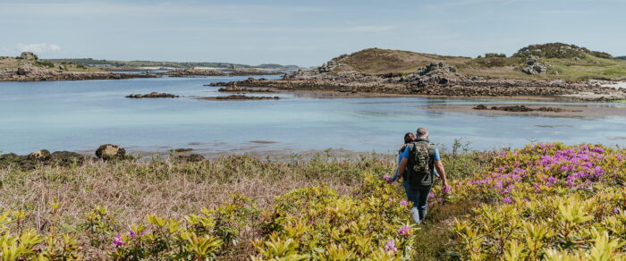 couple walking through rhododendrons on Tresco admiring the island views, Isles of Scilly