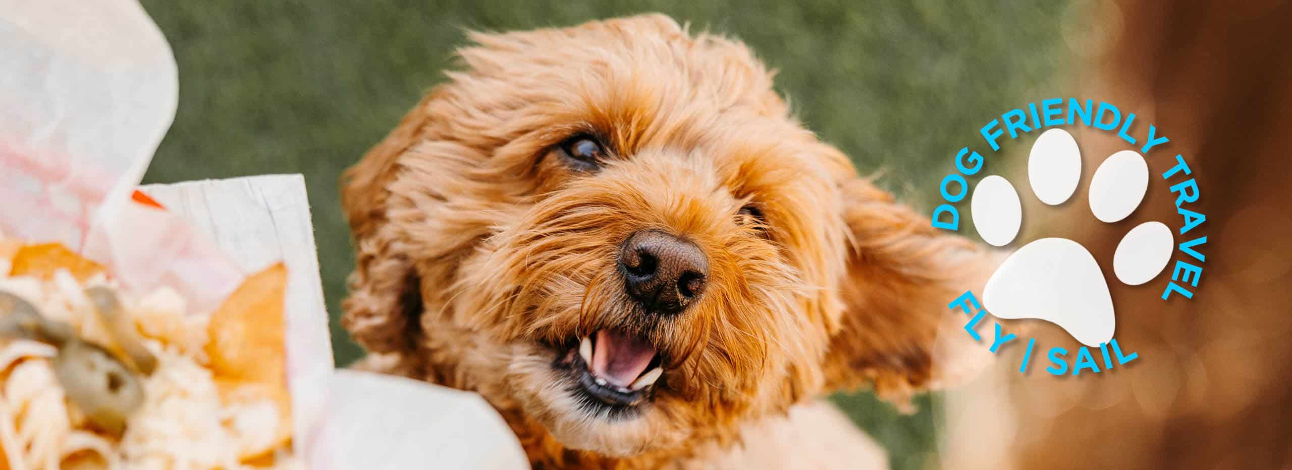 Fly and Sail to the Isles of Scilly Isles of Scilly Travel