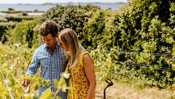 St Martin's Vineyard, Isles of Scilly - a couple going around the vineyard on a self-guided tour.
