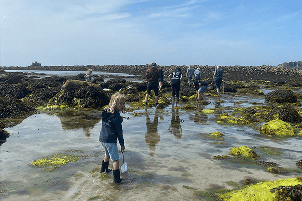 A group going on a safari with Scilly Rockpool Safaris - St Mary's, Isles of Scilly