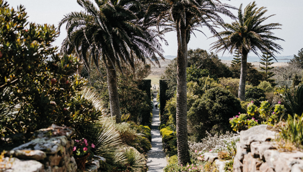 View of Tresco Abbey Garden on the Isles of Scilly