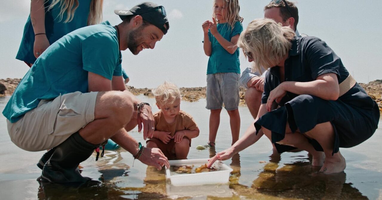 people searching a rockpool for wildlife, St Mary's