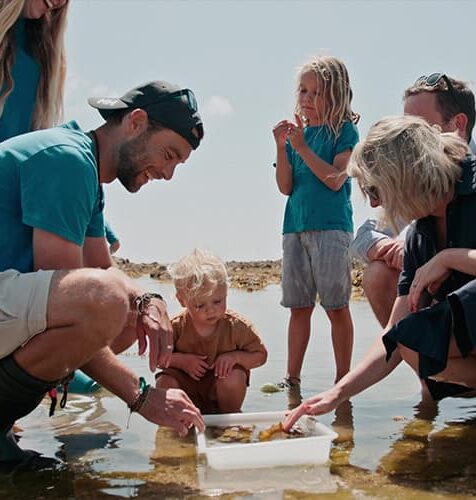 people searching a rockpool for wildlife, St Mary's