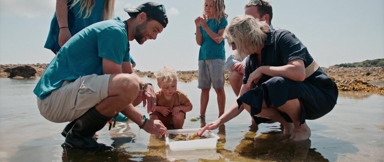 people searching a rockpool for wildlife, St Mary's