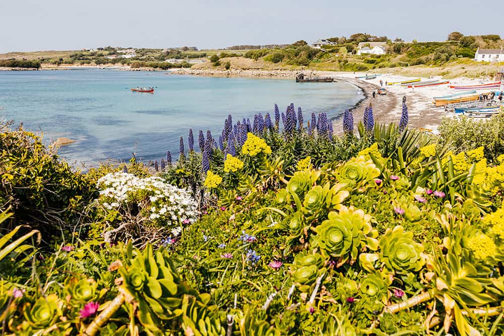 View of beach and nature in Spring