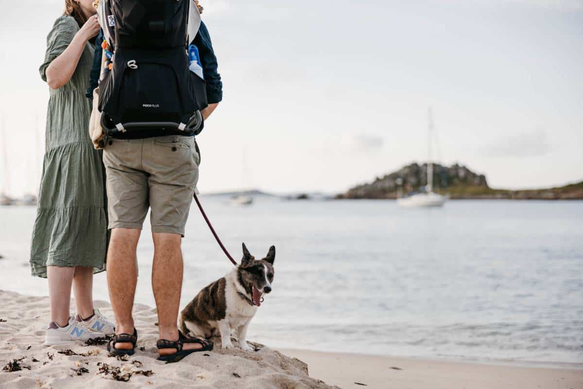 Walking a dog in an airport