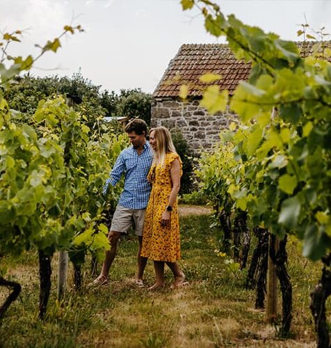 couple walking through St Martin's Vineyard - Isles of Scilly