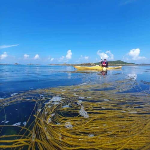 person in a yellow kayak on a tour around the Isles of Scilly on a sunny day