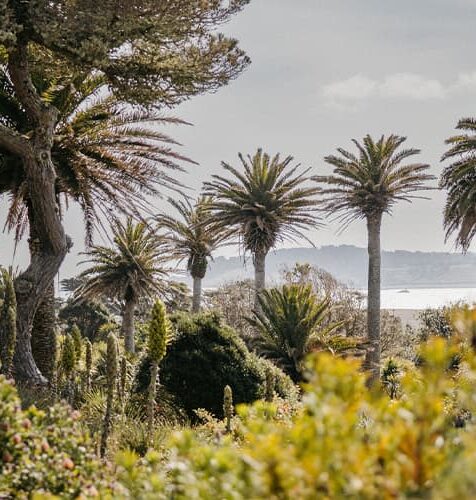 View of Tresco Abbey Garden, Tresco, Isles of Scilly