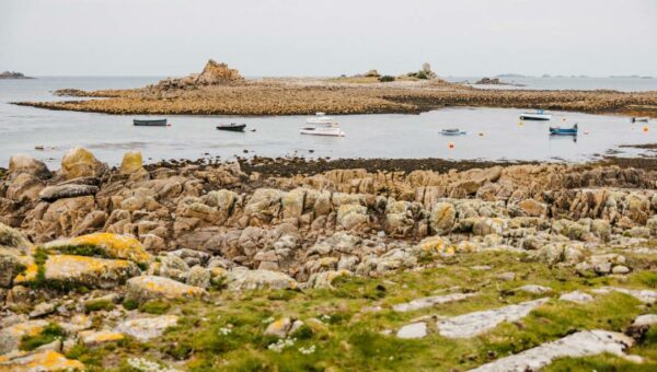View of the sea and boats