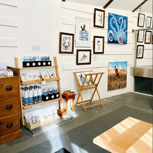 Gemma Pearce Art studio shop on St Mary's