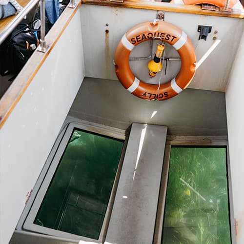 The glass bottom of SeaQuest - Isles of Scilly