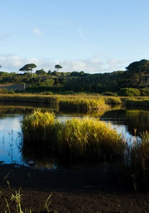 Porth Helick Pool - Isles of Scilly - Ed Marsh