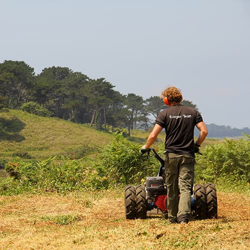 Isles of Scilly Wildlife Ranger managing habitats