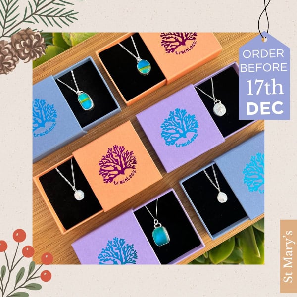 Traceless Designs - Christmas 2025