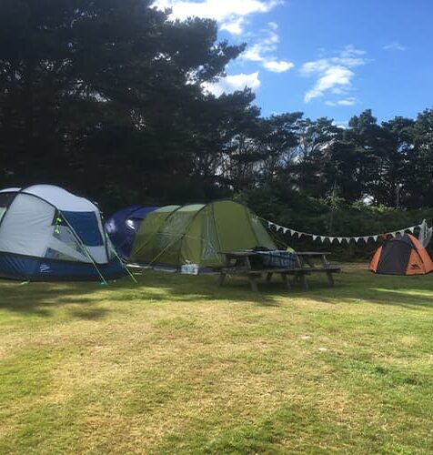 Tents pitched at Garrison Holidays campsite, St Mary's, Isles of Scilly