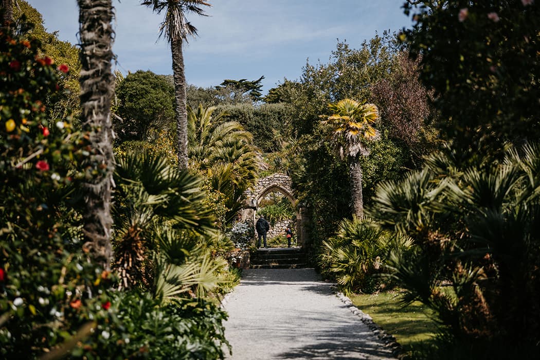 spring flowers and foliage in Tresco Abbey Garden with some of the Abbey ruins - Isles of Scilly