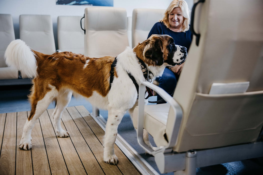 Woman with her dog in Scillonian III's dog friendly passenger lounge