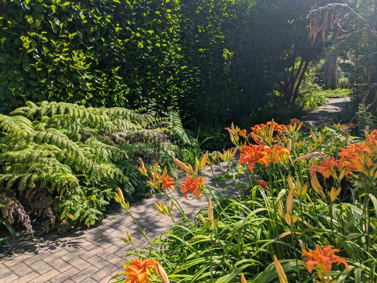 Pathway and flowers at Tresco Abbey Garden