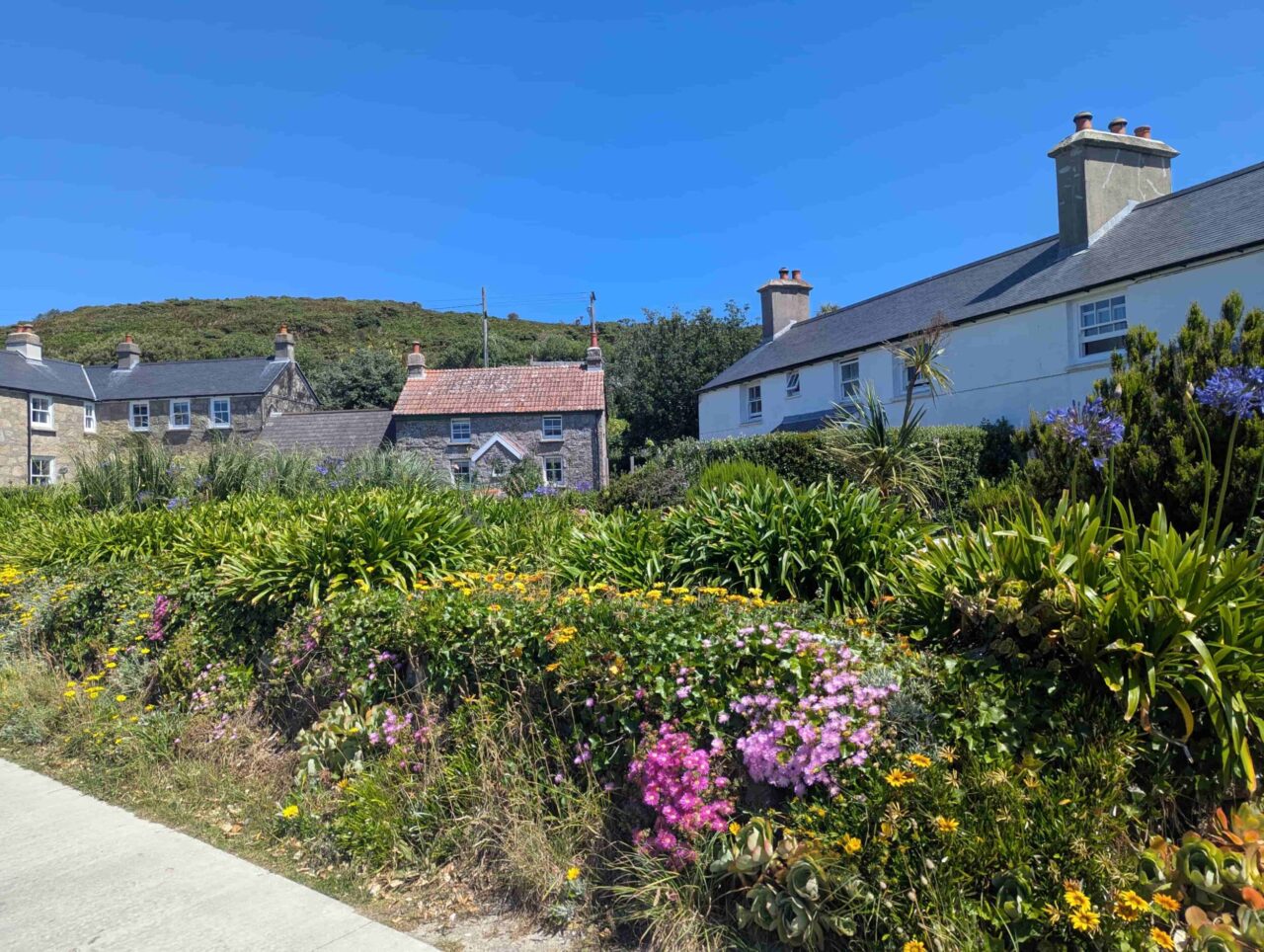 Houses on St Martin's