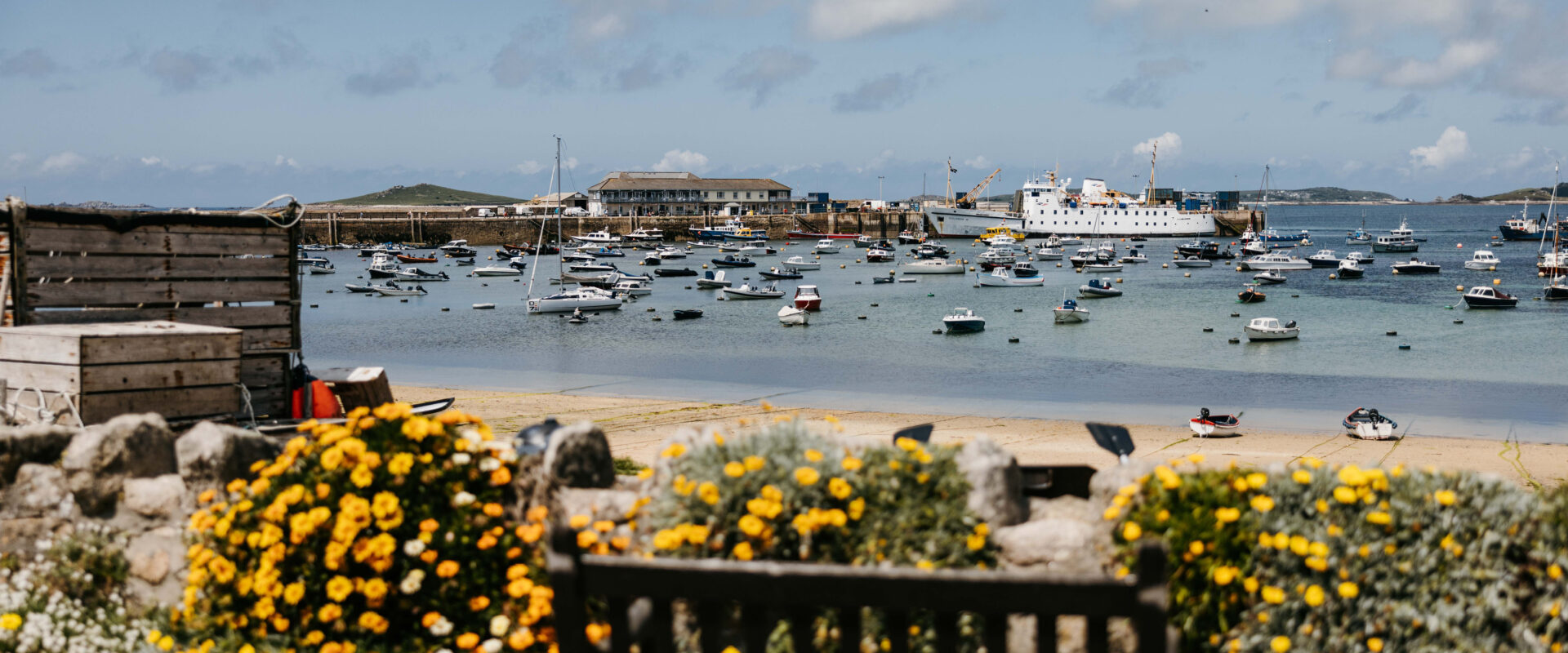 Scillonian III in St Mary's Harbour, Isles of Scilly,. yellow flowers in the foreground.